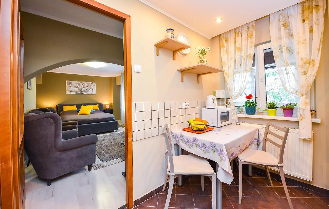 Apartmán Romana Lahovary Studio Bukurešť